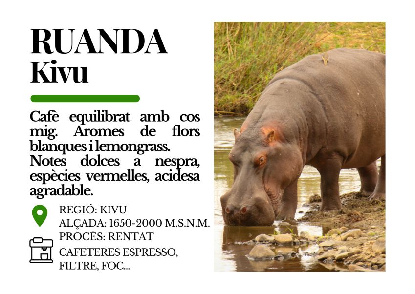 e6bc691e8c81771fa0b98ccfc134b90bdef1e477