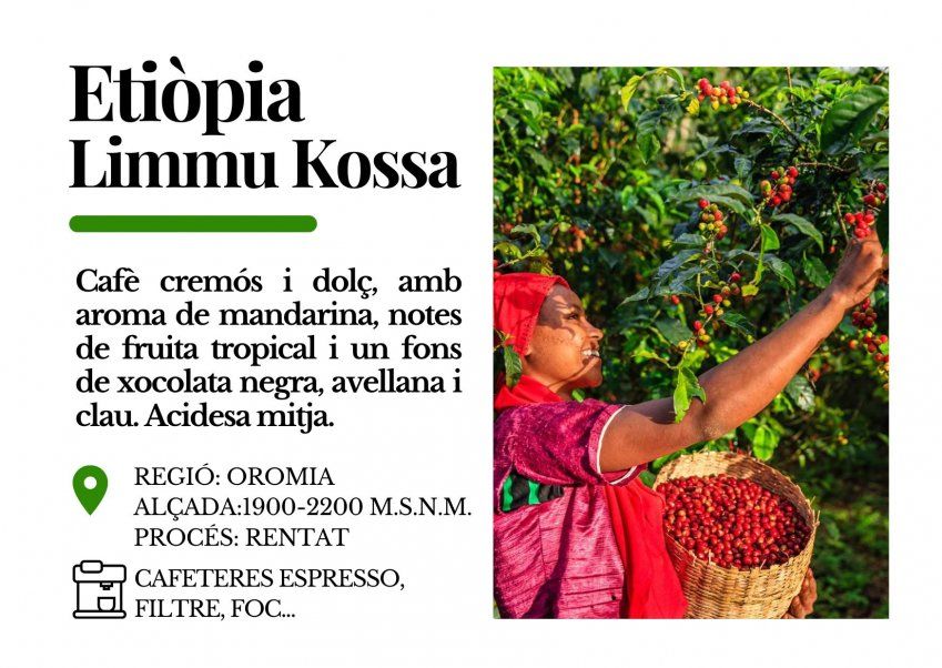 Limmu kossa